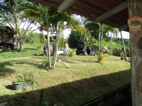 /album/galeria-de-fotos/dsc01335-jpg/