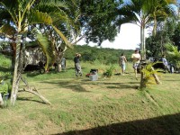 /album/galeria-de-fotos/dsc01340-jpg/