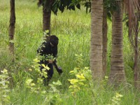 /album/partida-dia-25-04/dscf0324-jpg/