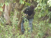 /album/partida-dia-25-04/dscf0342-jpg/