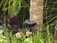 /album/partida-dia-25-04/dscf0351-jpg/